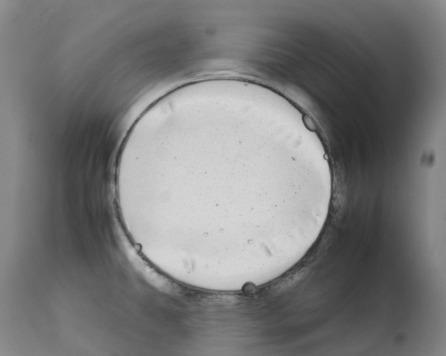 X0000112931431200910051121