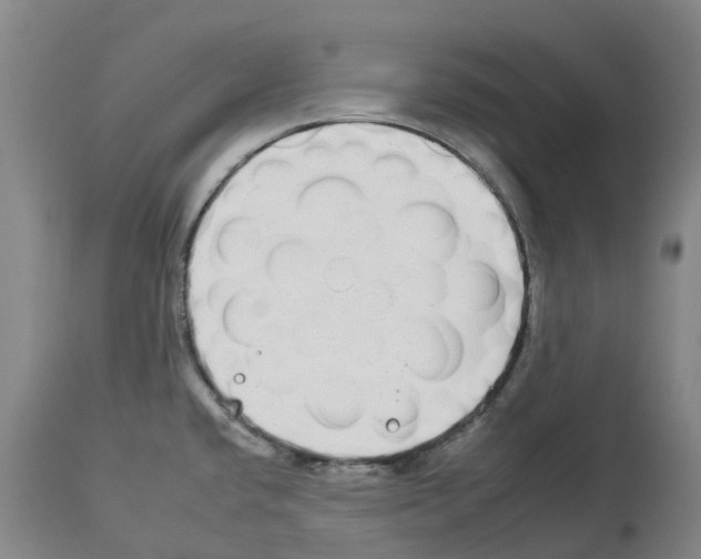 X0000112931432200910051121