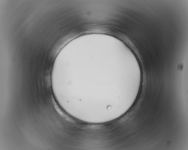 X0000112931433200910051121