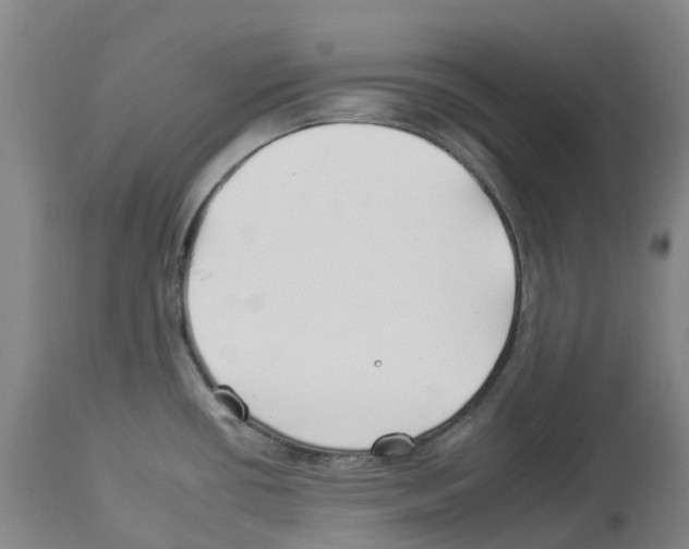 X0000112931434200910051121