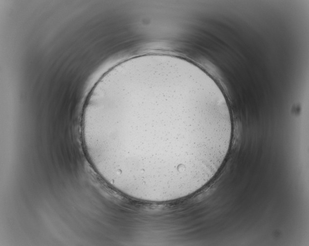 X0000112931435200910051121