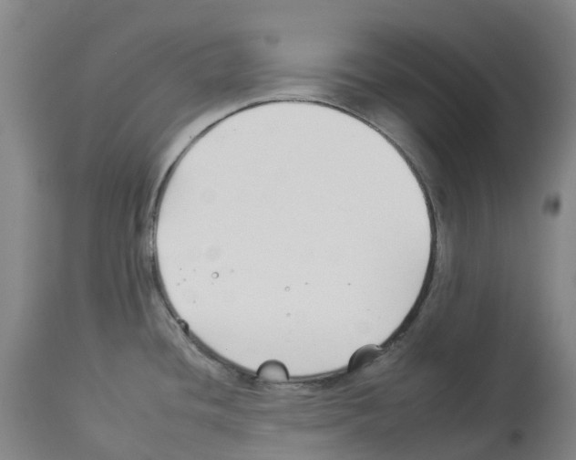 X0000112931436200910051121