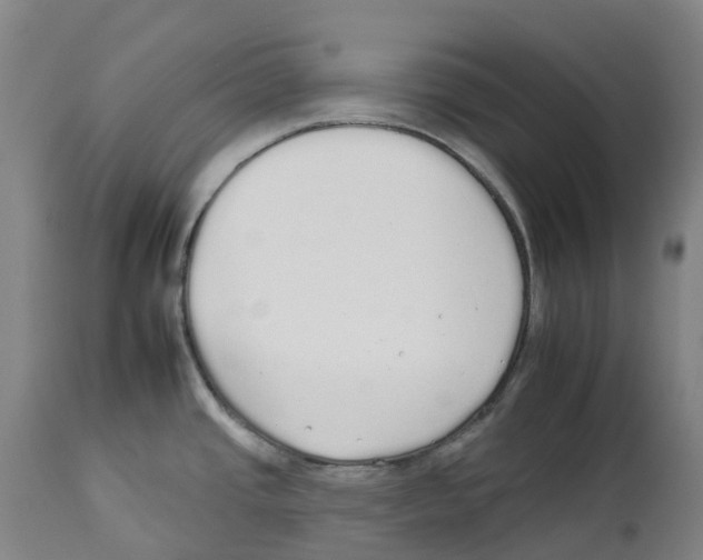 X0000112931437200910051121