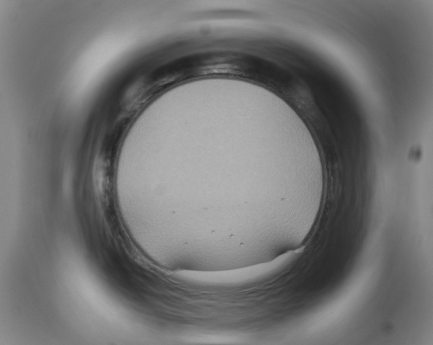 X0000112931438200910051121