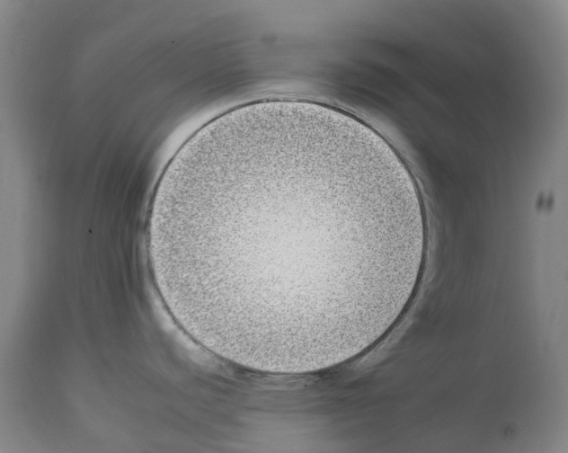 X0000112931440200910051121