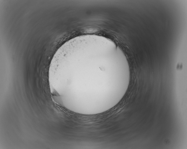 X0000112931441200910051121