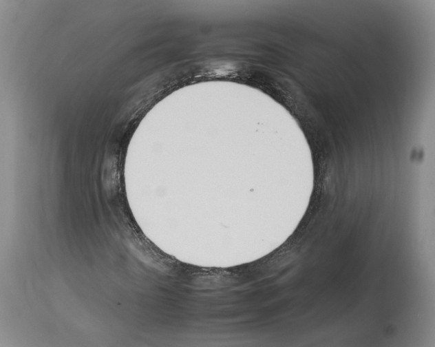 X0000112931442200910051121