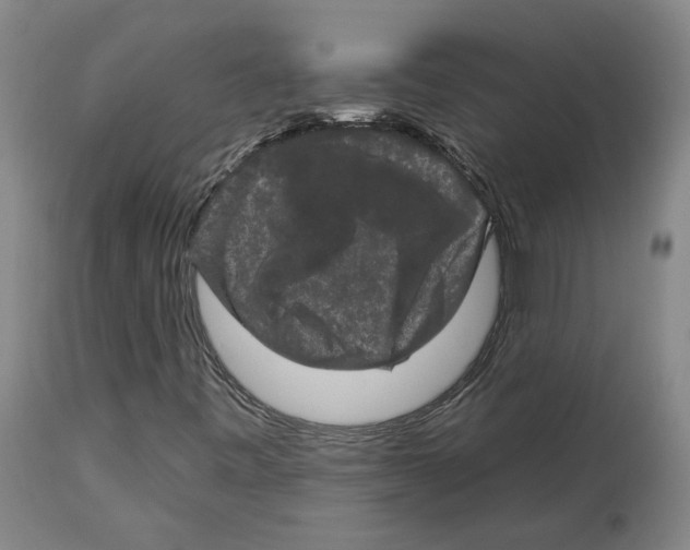 X0000112931443200910051121