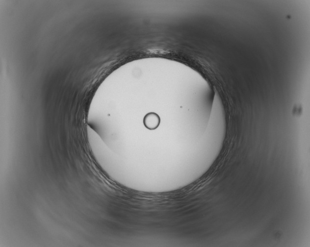 X0000112931444200910051121