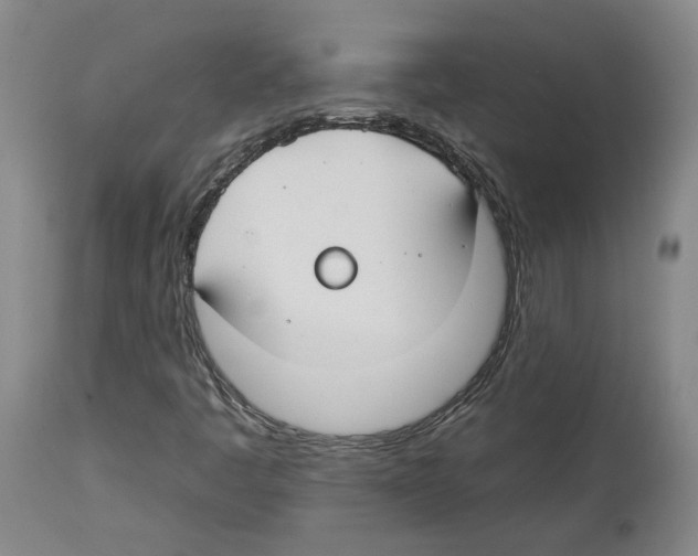 X0000112931445200910051121