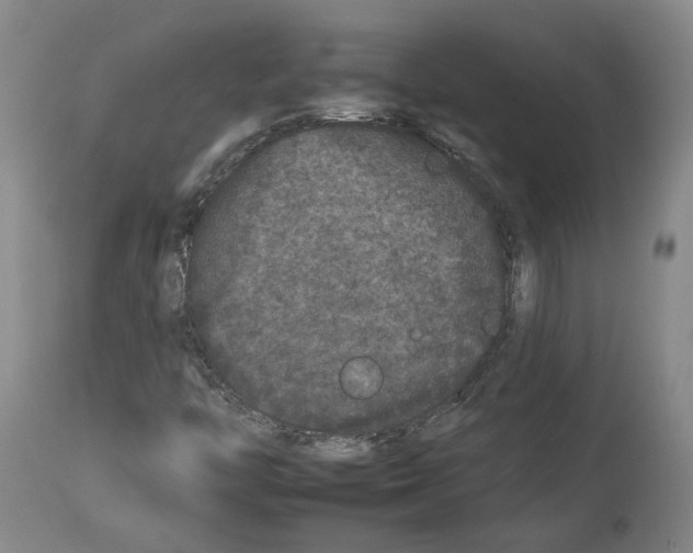 X0000112931446200910051121
