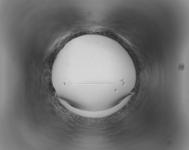 X0000112931447200910051121