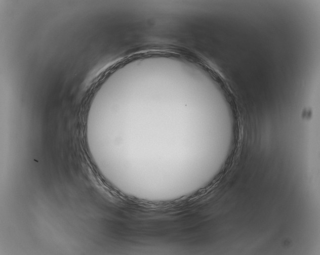 X0000112931448200910051121