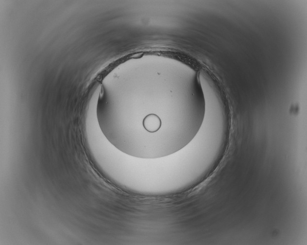 X0000112931449200910051121
