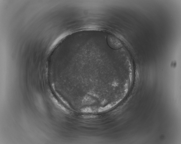 X0000112931450200910051120