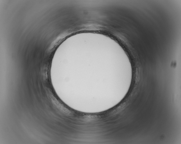 X0000112931451200910051120