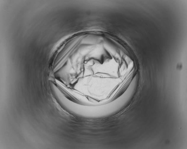 X0000112931452200910051120
