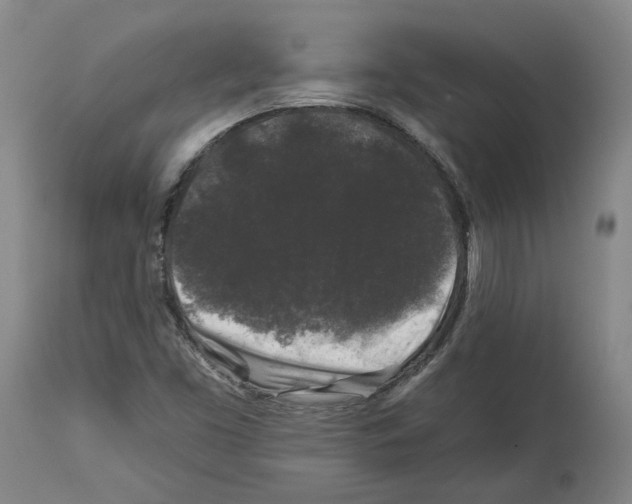 X0000112931453200910051120