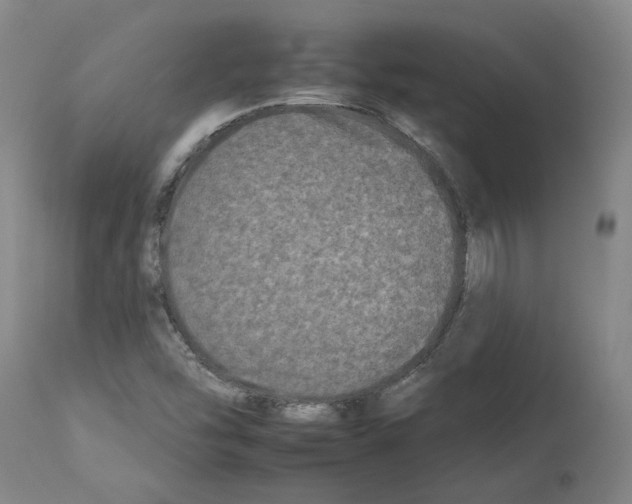 X0000112931454200910051120