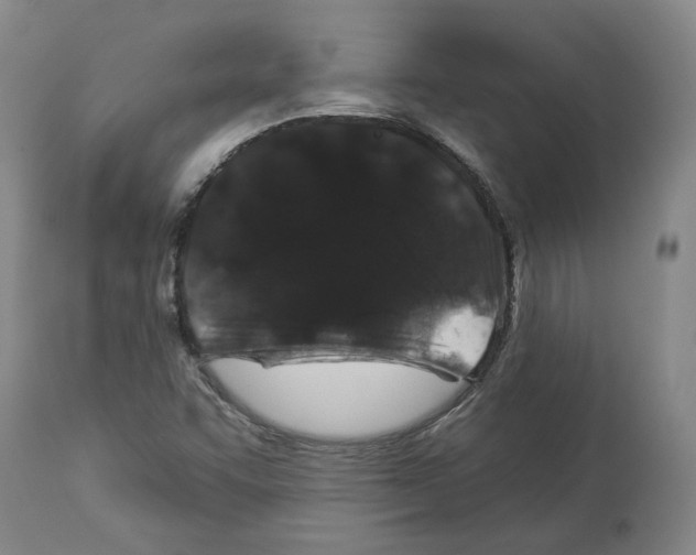 X0000112931455200910051120