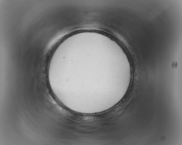 X0000112931456200910051120