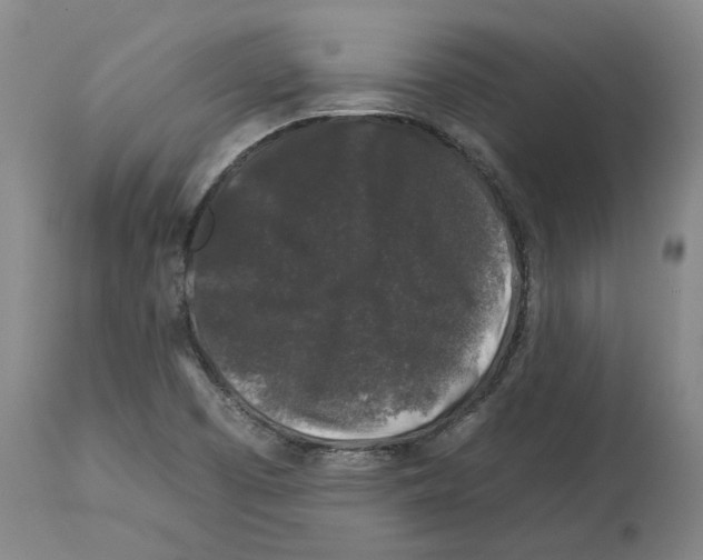 X0000112931457200910051120