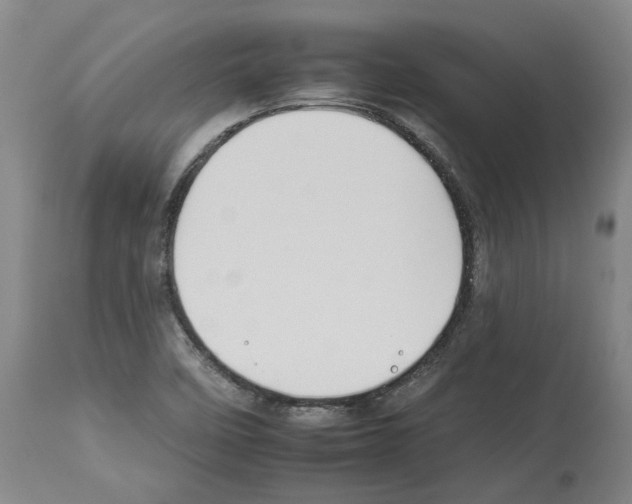 X0000112931458200910051120