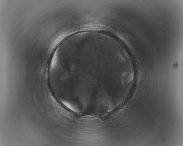 X0000112931459200910051120