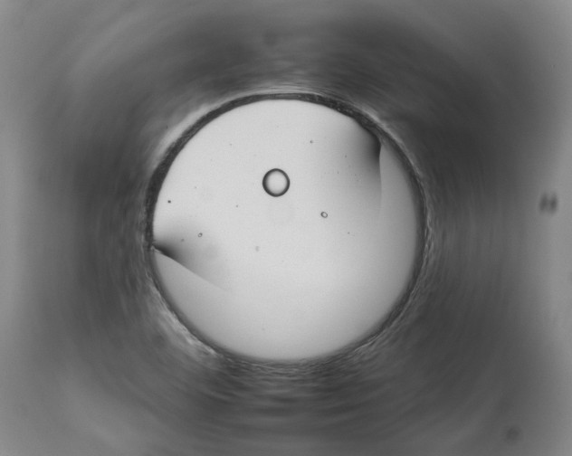 X0000112931460200910051120