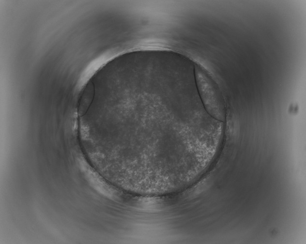 X0000112931461200910051120