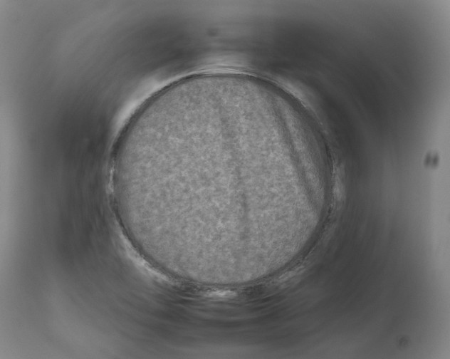 X0000112931462200910051120