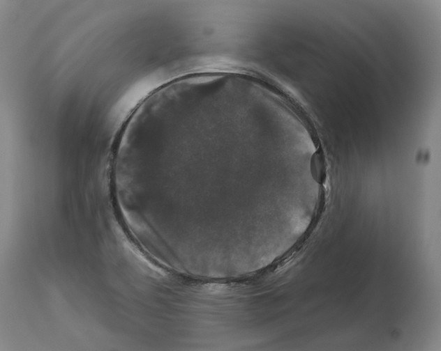 X0000112931463200910051120