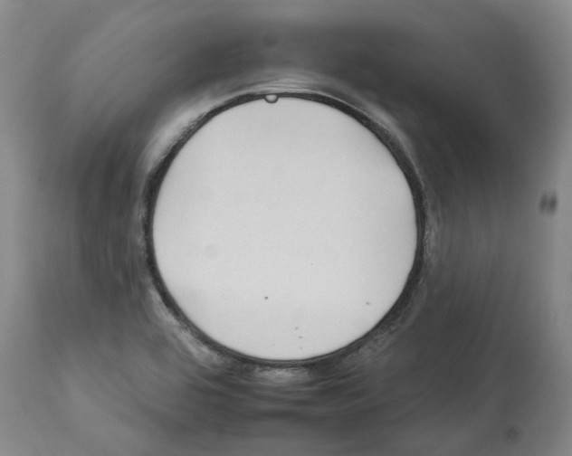 X0000112931464200910051120