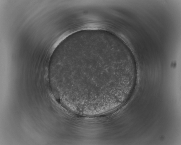 X0000112931465200910051120