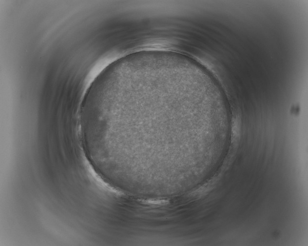 X0000112931466200910051120