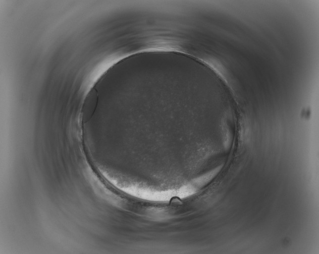 X0000112931468200910051120