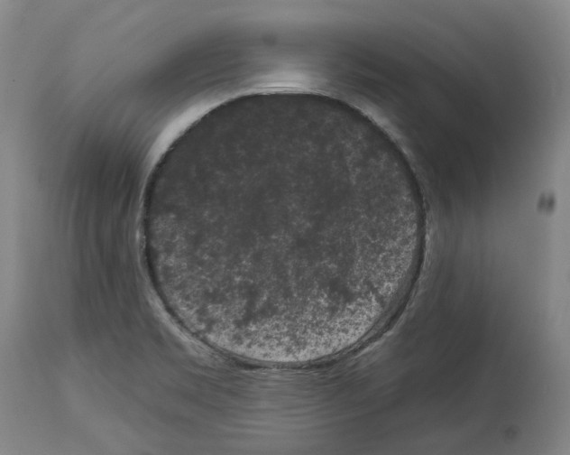 X0000112931469200910051120