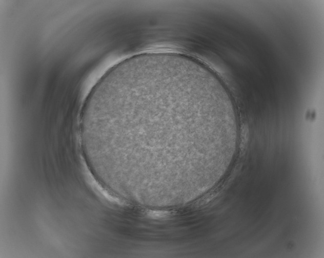 X0000112931470200910051120