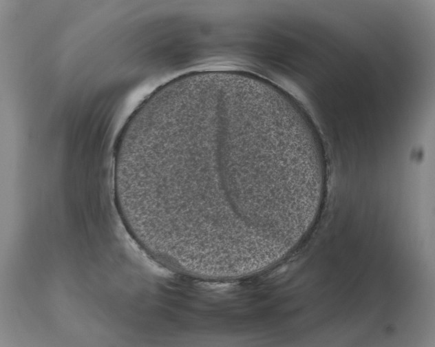 X0000112931472200910051120