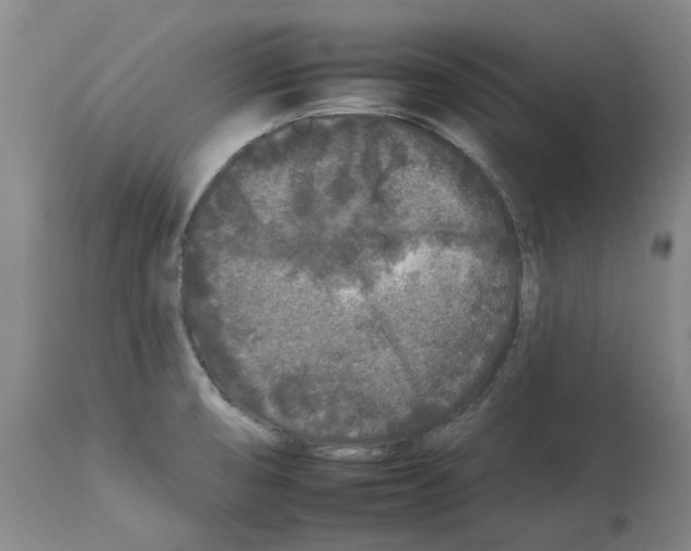X0000112931474200910051120