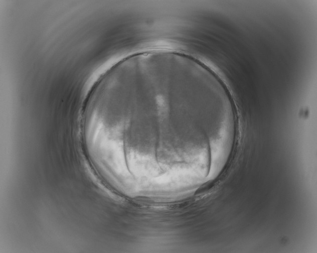 X0000112931477200910051120