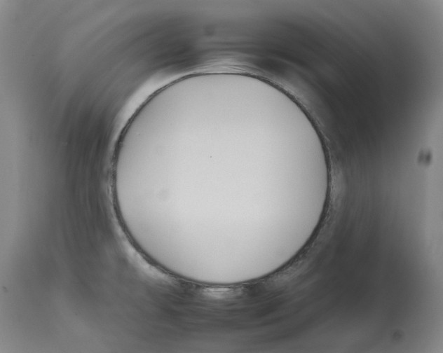 X0000112931478200910051120
