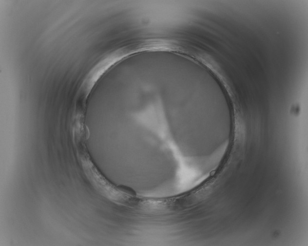 X0000112931481200910051120