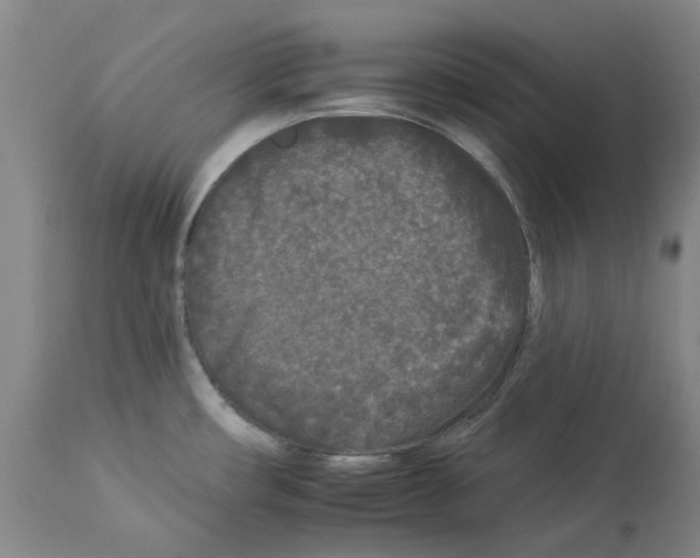 X0000112931482200910051120