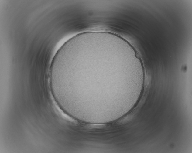 X0000112931486200910051120
