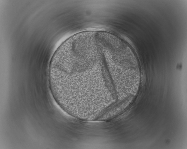 X0000112931487200910051120
