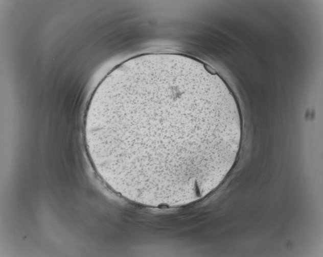 X0000112931488200910051120
