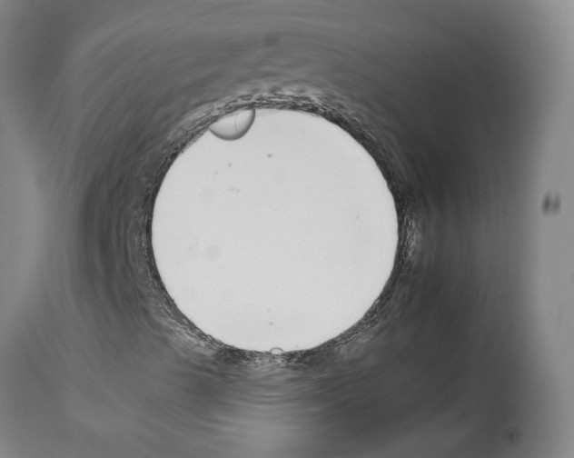 X0000112931489200910051119