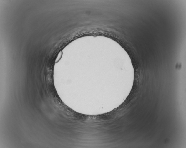 X0000112931490200910051119