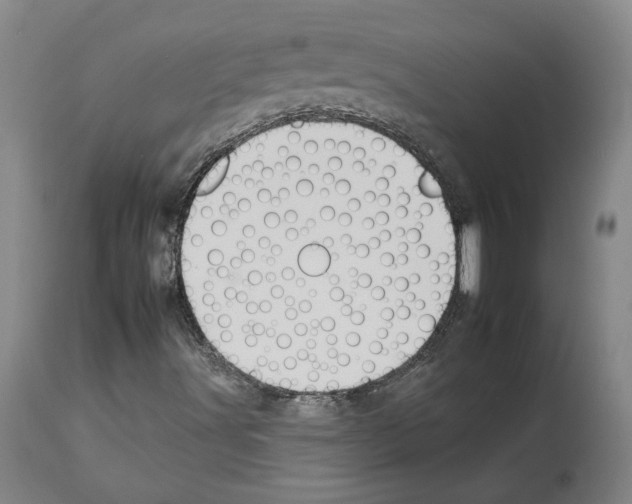 X0000112931491200910051119